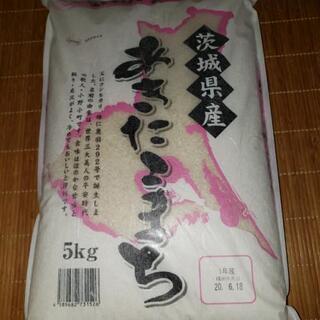 取引決定　茨城県産お米の画像