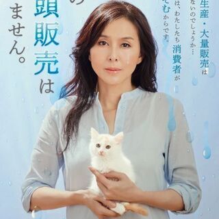 譲渡されました、ありがとうございます🌸 − 長崎県