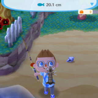 どう森ポケットキャンプのフレンド募集