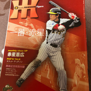 月刊阪神タイガース赤星憲広金本知憲