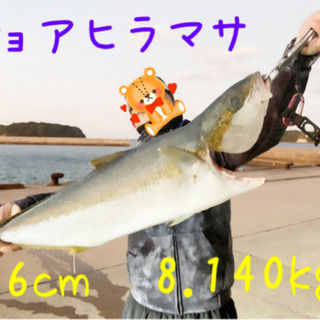 釣り仲間募集です(^^)
