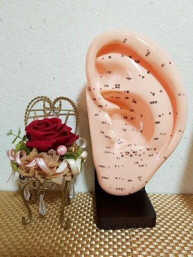 くるち♡EJA耳ツボジュエリー認定講師 EJA耳つぼジュエリー認定講師の💎耳つぼジュエリー講座💎 (寂雲) 桂川