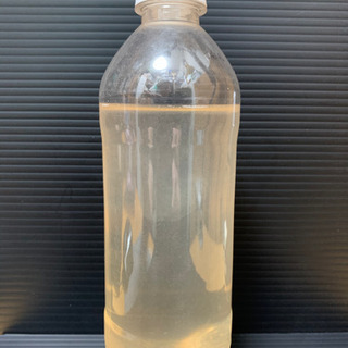 ゾウリムシ種水②(メダカ 針子 稚魚)450ml 250円 (培...