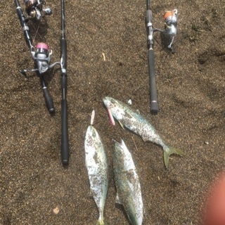 釣り仲間募集🎣