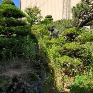 外構、庭木の剪定、見直しませんか？