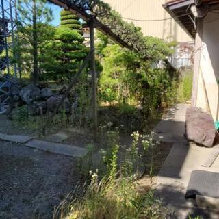外構、庭木の剪定、見直しませんか？ - 便利屋