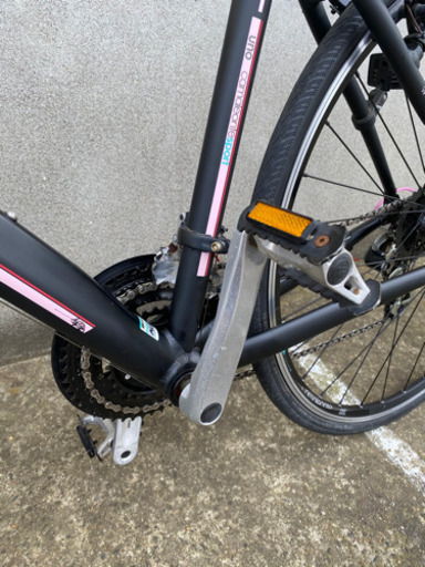 Bianchi Camaleonte1 ビアンキ　カメレオンテ１