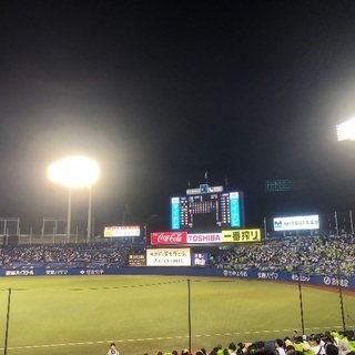 ヤクルトぐるちゃメンバー大募集‼️‼️