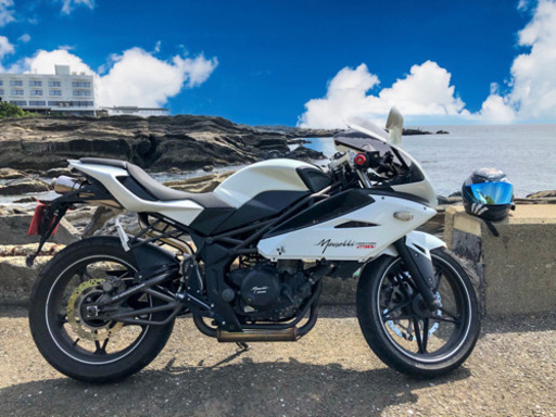 メガリ250r 引取りのみ エンジン実働