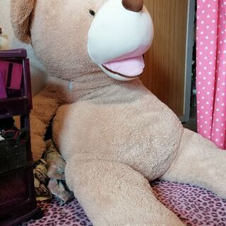 くまのぬいぐるみ🐻