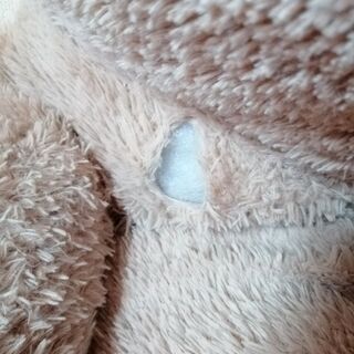 くまのぬいぐるみ🐻の画像