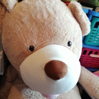 くまのぬいぐるみ🐻の画像