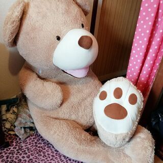 くまのぬいぐるみ🐻の画像