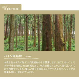 コンセント付きダブルベッドの画像