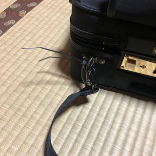 アルトサックスケース