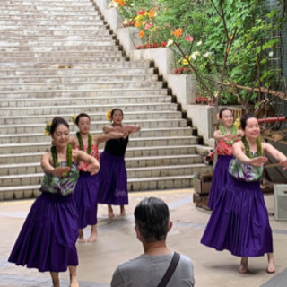 New!松原市 フラダンス新規クラス開講の画像