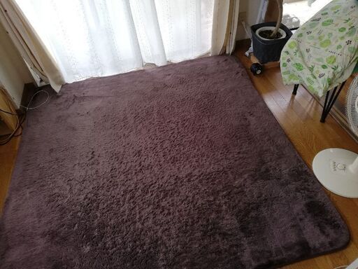 ☆ラグ　濃いブラウン☆1000円☆