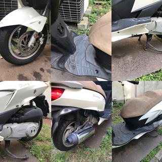 マラグーティ ブログ125 自賠責半年　付きの画像