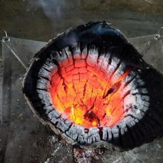 オオヤマザクラの丸大ストーブ「ウロケットーチ」。茨城県潮来市。の画像