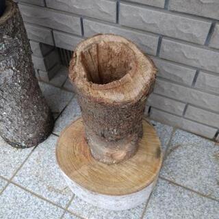 オオヤマザクラの丸大ストーブ「ウロケットーチ」。茨城県潮来市。の画像