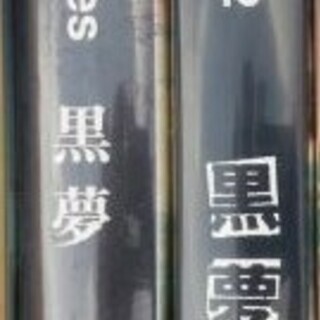 入手困難！ビデオ（VHS）黒夢　２種