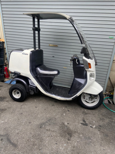 キャノピー！ミニカー登録！綺麗！絶好調！