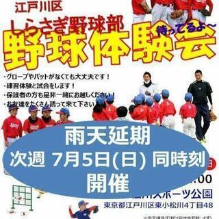 しらさぎ少年野球部 体験会  江戸川区