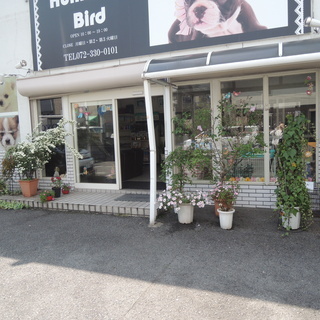 子犬の世話　犬舎の清掃作業　10時から3～5時間程度  時給1.100円＋能力給の画像
