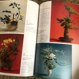 いけばな芸術全集(花材別) 18 冊セット