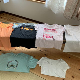 カットソー、Tシャツ