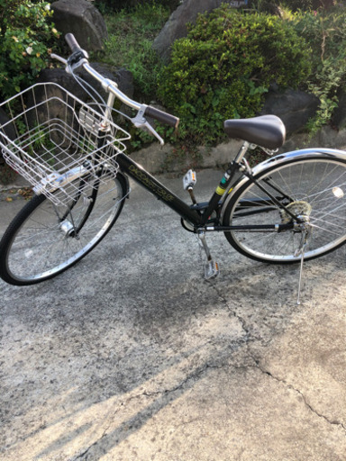 DACCARAT CRUZ 自転車