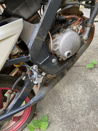 ヤマハ　tzr50r 4eu 不動車
