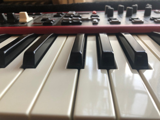 【9/1値引】Nord Electro 4D SW61 美品　純正ソフトケース付き