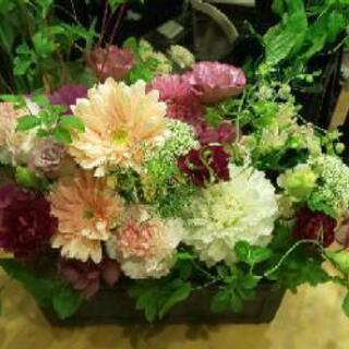 一緒にお花🌼楽しみませんか😊の画像