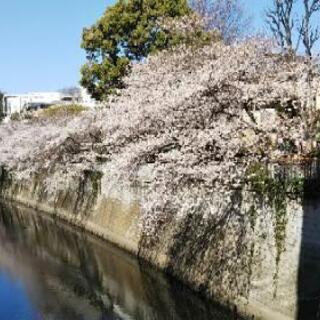 グルチャメンバー募集社会人としての常識ある方 - 千葉市