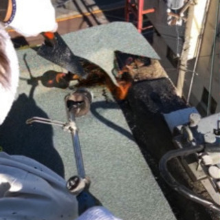 防水工事(従業員2名募集)の画像