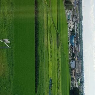 空き地　　資材置き場　プレハブ　借り地　売買