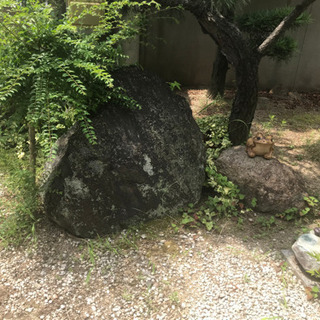 お譲りします！庭石の画像