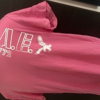アメリカンイーグル★アメカジ★Tシャツ
