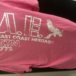 アメリカンイーグル★アメカジ★Tシャツの画像