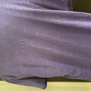 メンズTシャツの画像