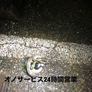 害虫害獣の駆除、捕獲いたします24時間対応‼️ - 生活トラブル