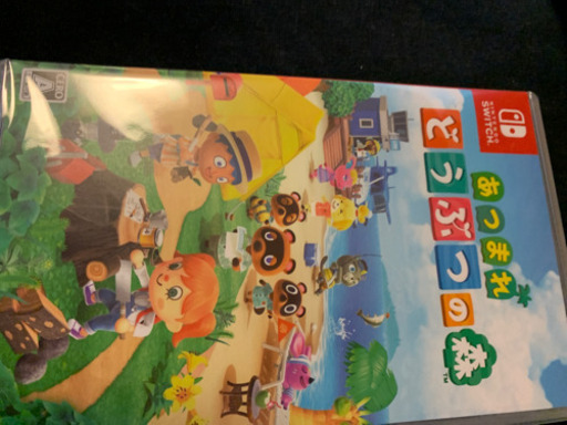 あつまれどうぶつの森 ソフトSwitch③