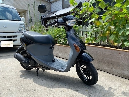 ☆綺麗なスズキ レッツ4♪