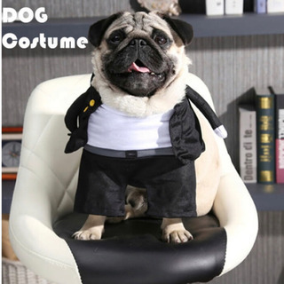 学ランコスチューム　犬猫用