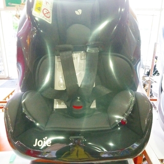 【店舗同時販売中】KATOJI ｴﾌﾞﾘｽﾃｰｼﾞﾁｬｲﾙﾄﾞｼｰﾄ