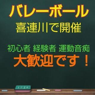 喜連川でバレーボールやりませんか？