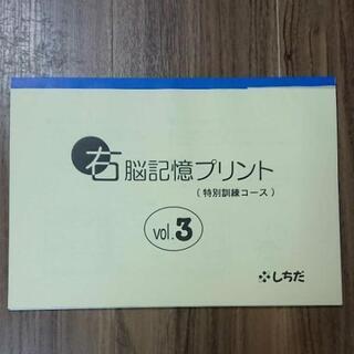 しちだ右脳記憶プリント vol.3