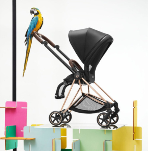 【中古】サイベックスミオス