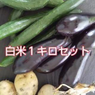 白米＆タップリお野菜セット